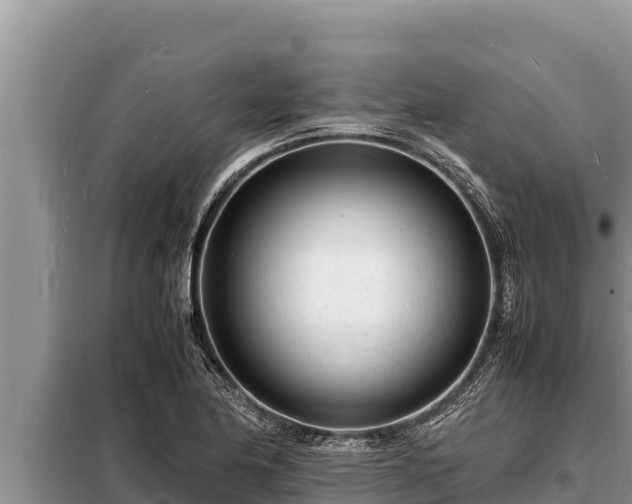 X0000098181174200805011029