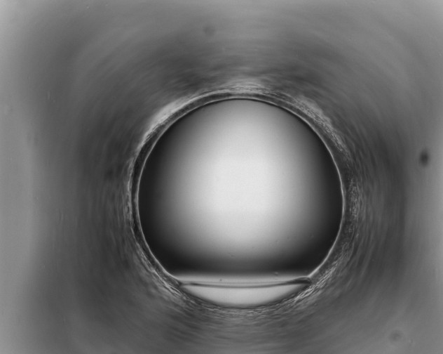 X0000098181176200805011029