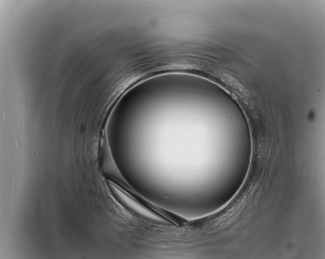 X0000098181177200805011029