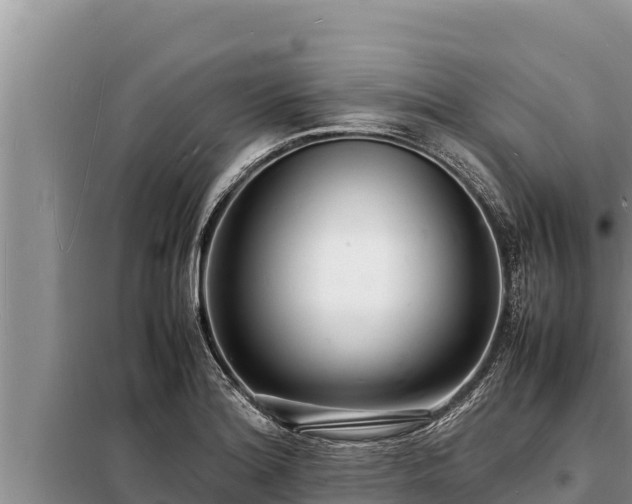 X0000098181180200805011029
