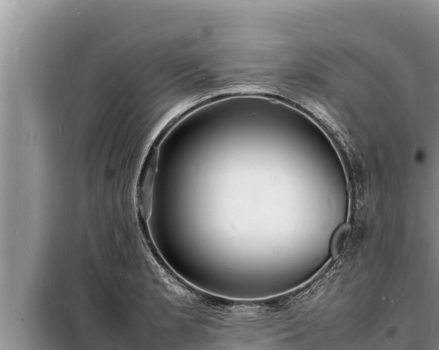 X0000098181181200805011029