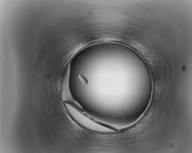 X0000098181185200805011029