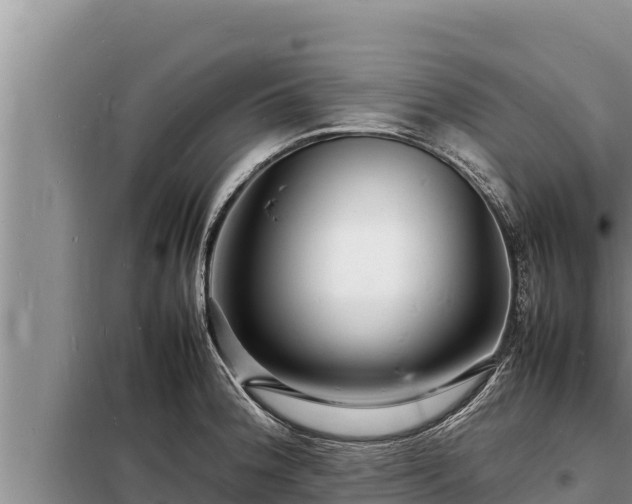 X0000098181188200805011029