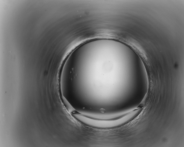 X0000098181192200805011029