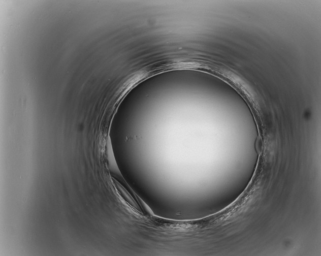 X0000098181193200805011029