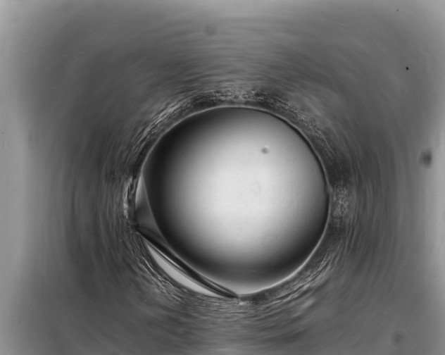 X0000098181202200805011028