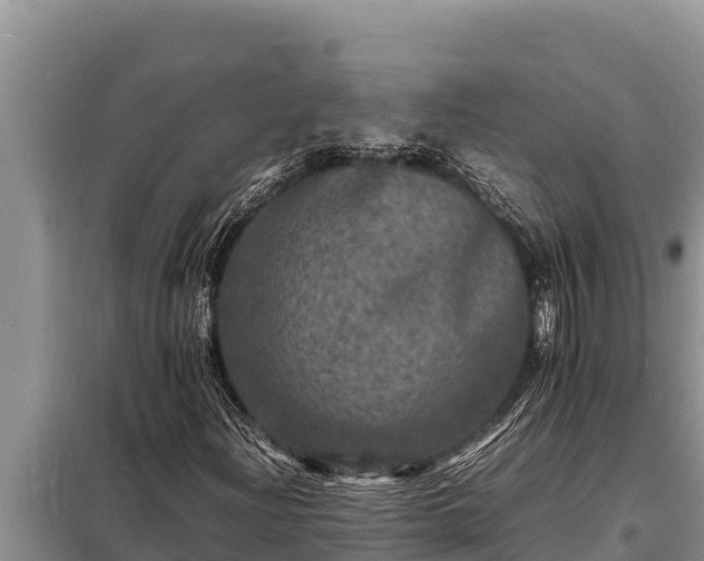 X0000098181204200805011028