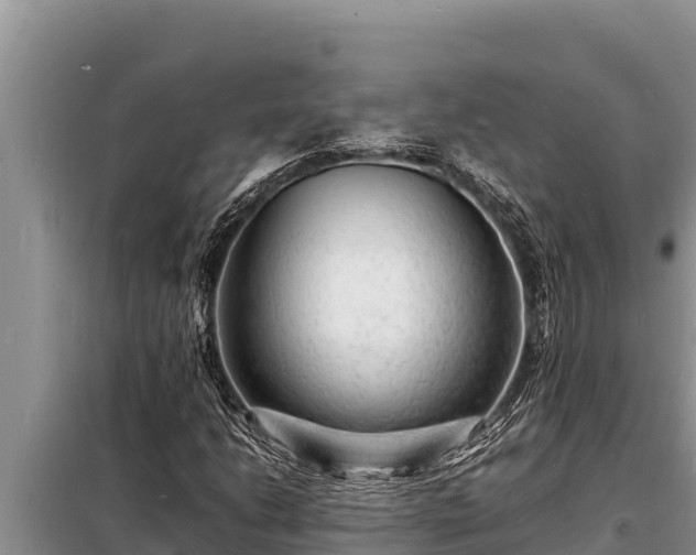 X0000098181206200805011028