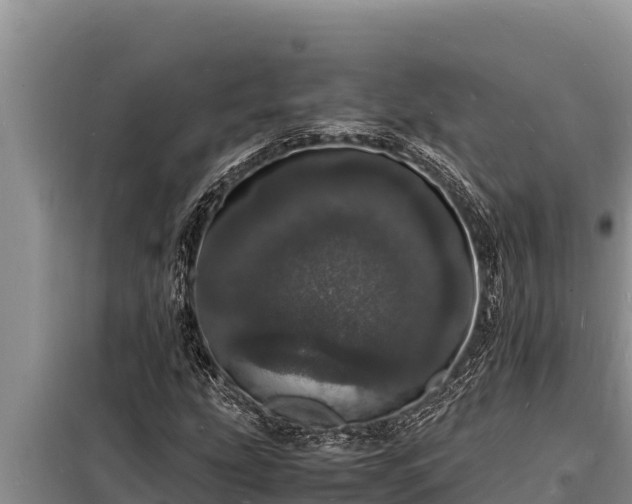 X0000098181207200805011028