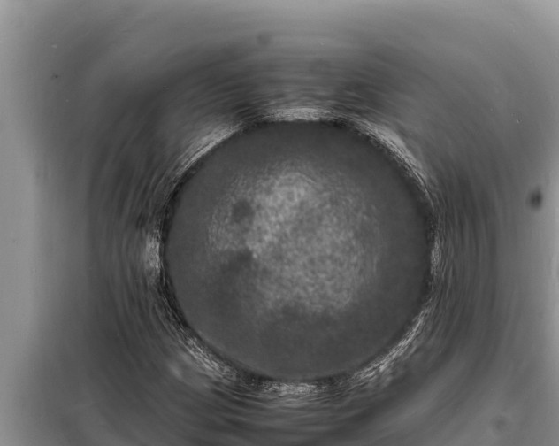 X0000098181209200805011028