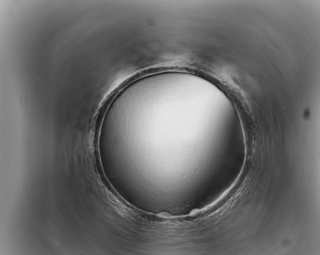 X0000098181216200805011028