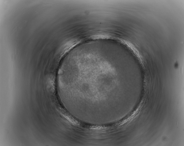 X0000098181217200805011028