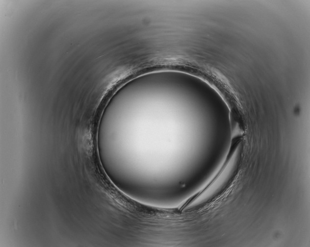 X0000098181218200805011028