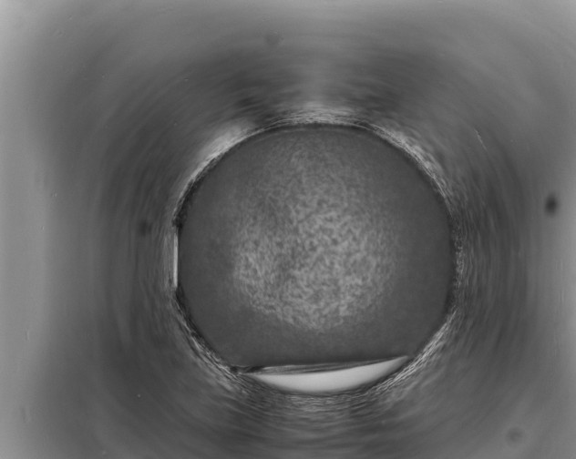 X0000098181219200805011028
