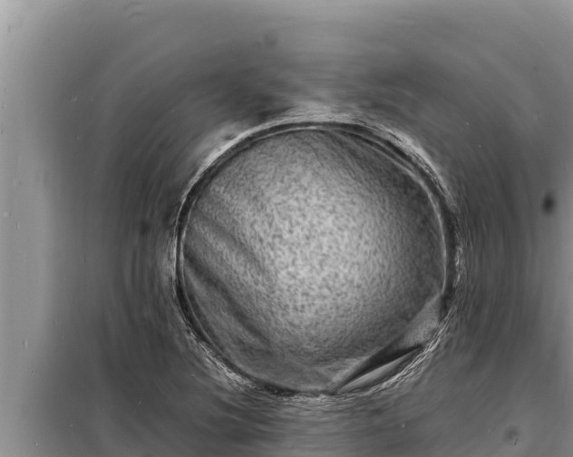 X0000098181220200805011028