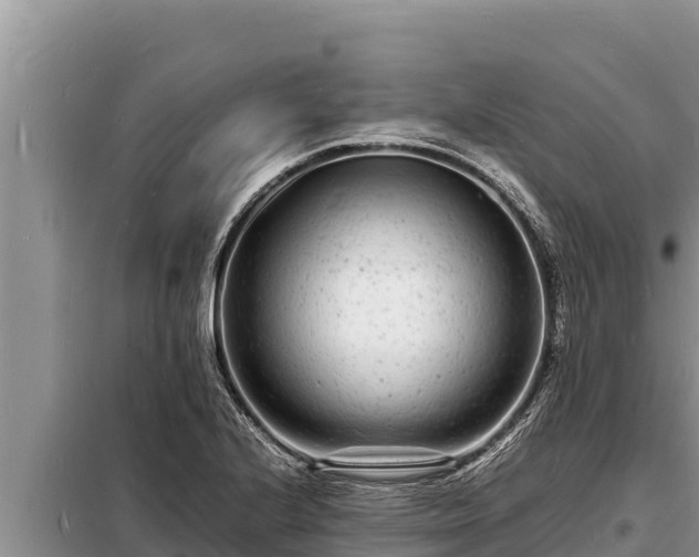 X0000098181224200805011028