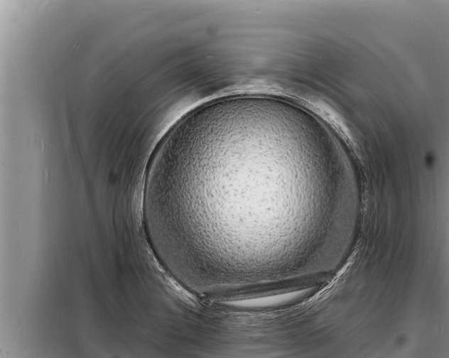 X0000098181228200805011028
