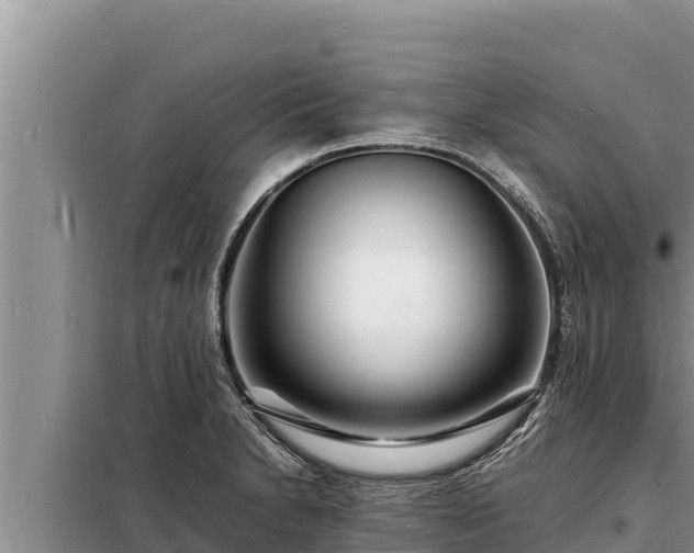 X0000098181230200805011028