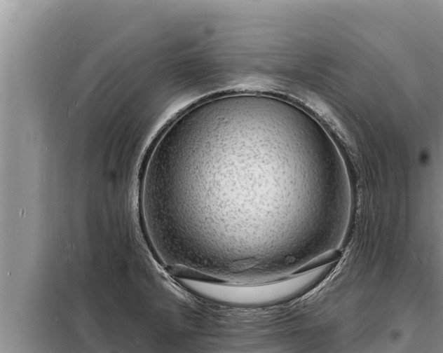 X0000098181232200805011028