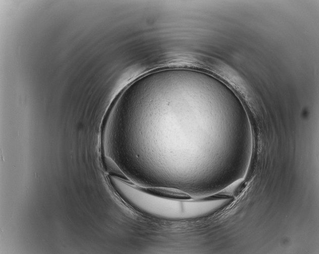 X0000098181234200805011028