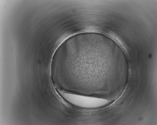 X0000098181236200805011028