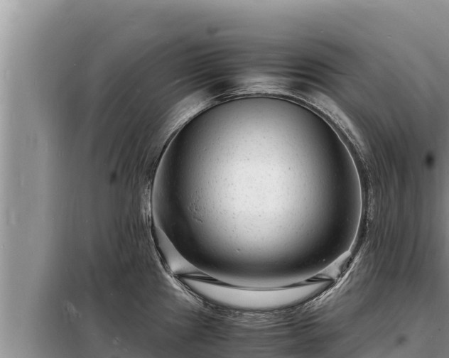 X0000098181241200805011029