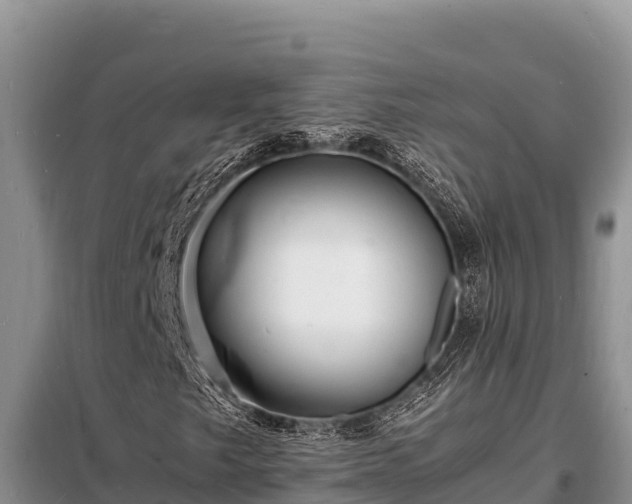 X0000098181249200805011028