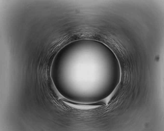 X0000098181250200805011028