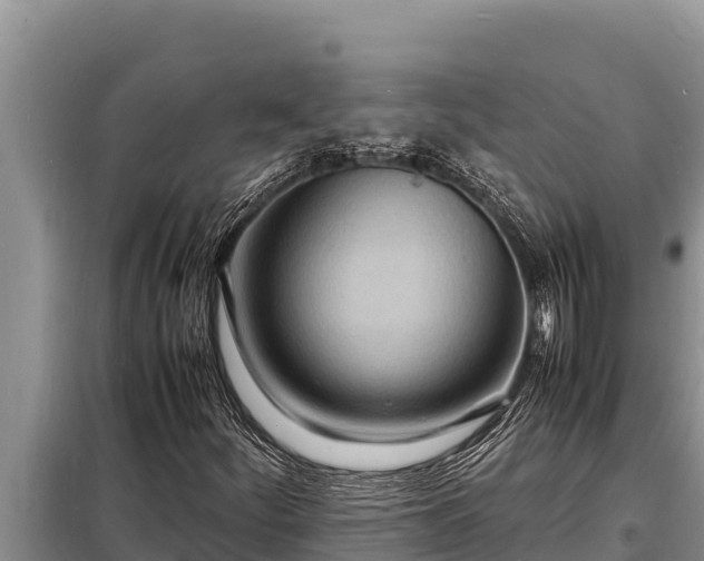 X0000098181252200805011028