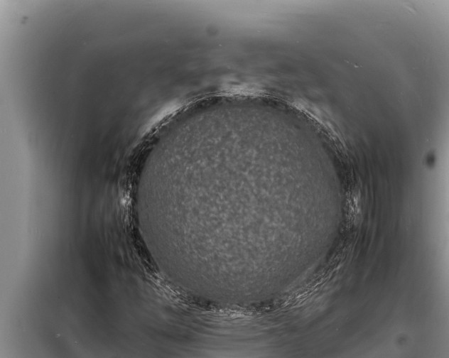 X0000098181254200805011028