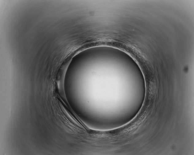 X0000098181257200805011028