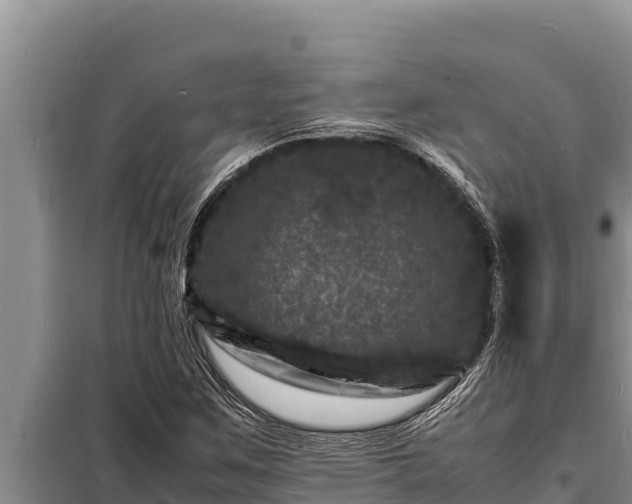 X0000098181259200805011028