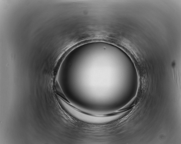 X0000098181260200805011028