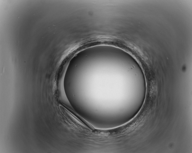 X0000098181261200805011028