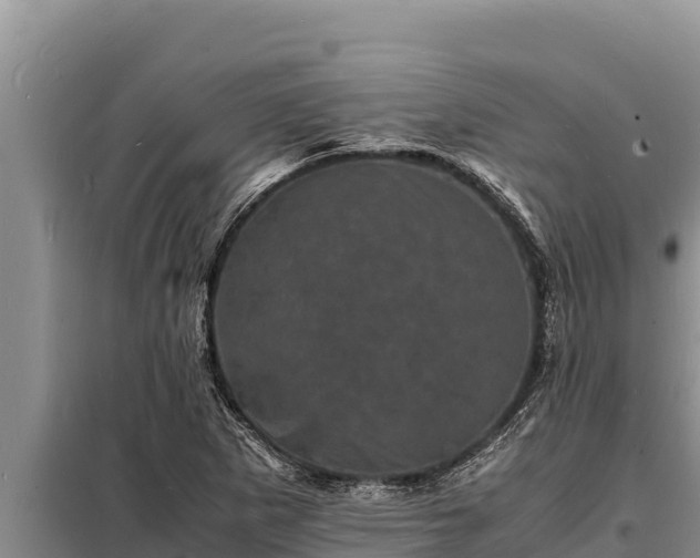 X0000098181265200805011028