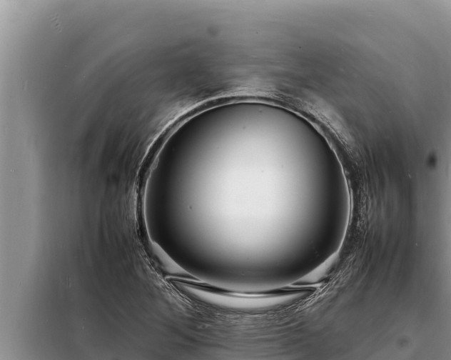X0000098181268200805011028