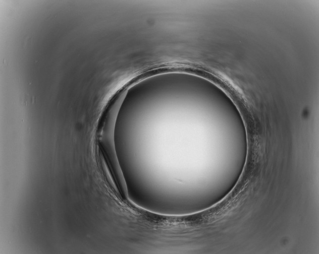 X0000098181269200805011028