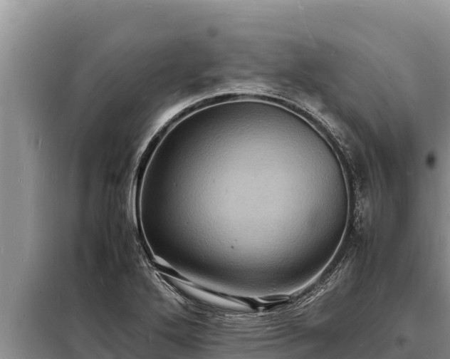 X0000098181272200805011028