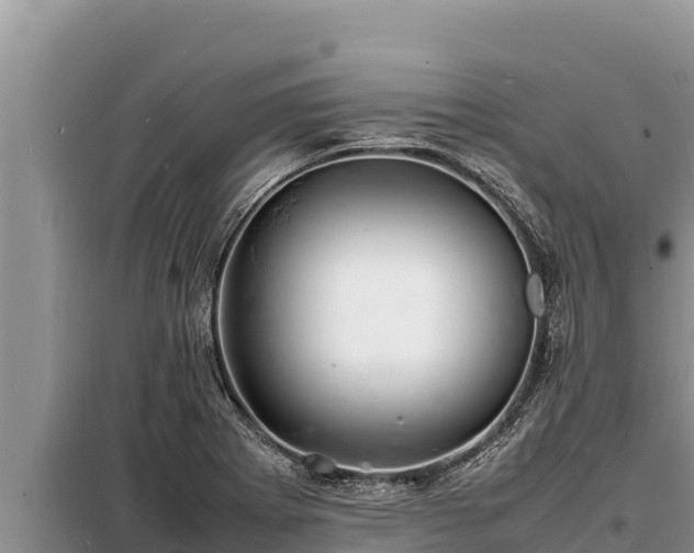 X0000098181273200805011028