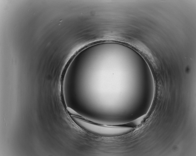 X0000098181280200805011028