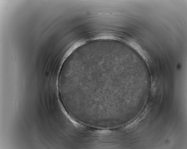 X0000098181282200805011028