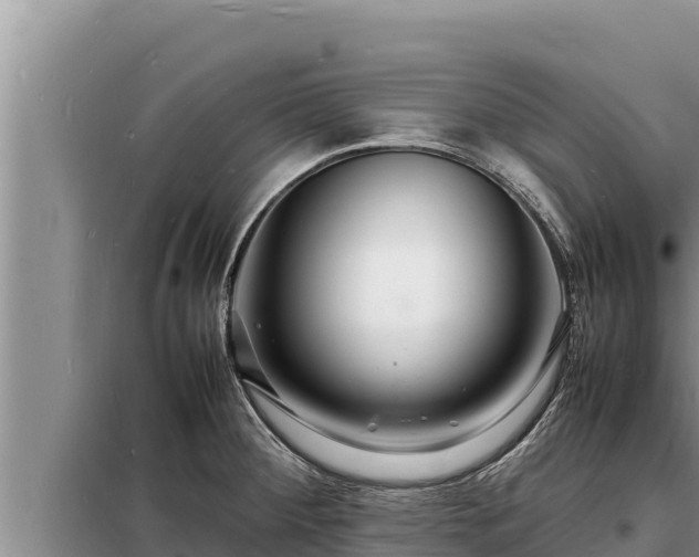 X0000098181284200805011027