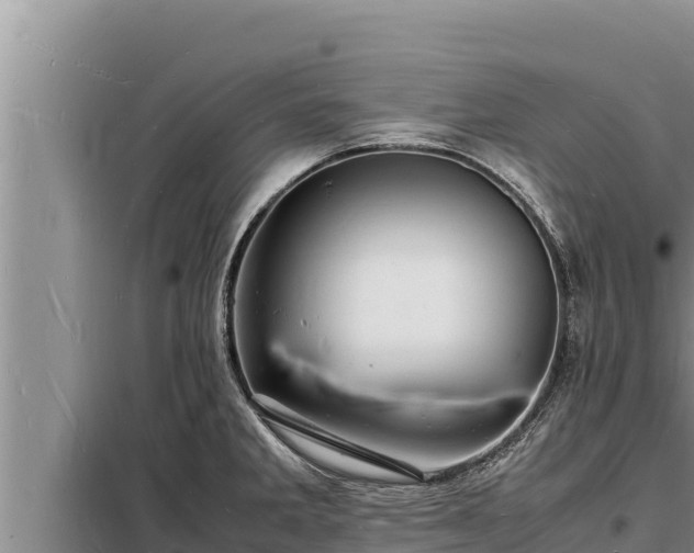 X0000098181285200805011027