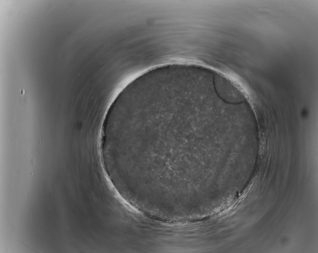 X0000098181287200805011027