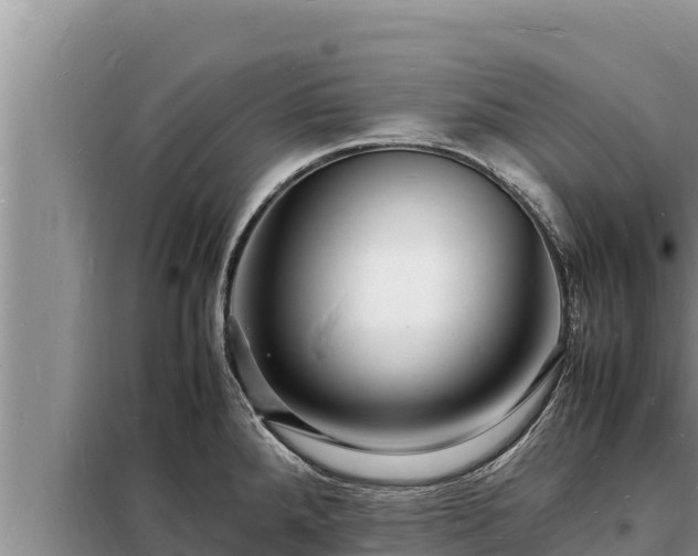 X0000098181288200805011027