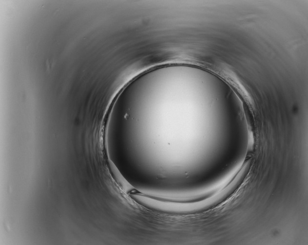 X0000098181292200805011027