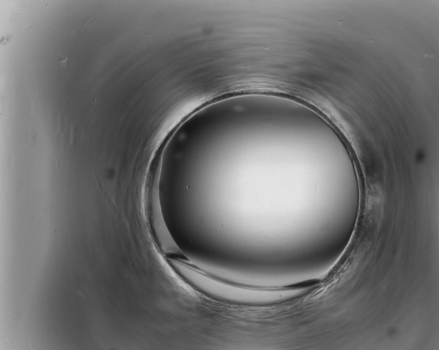X0000098181293200805011027