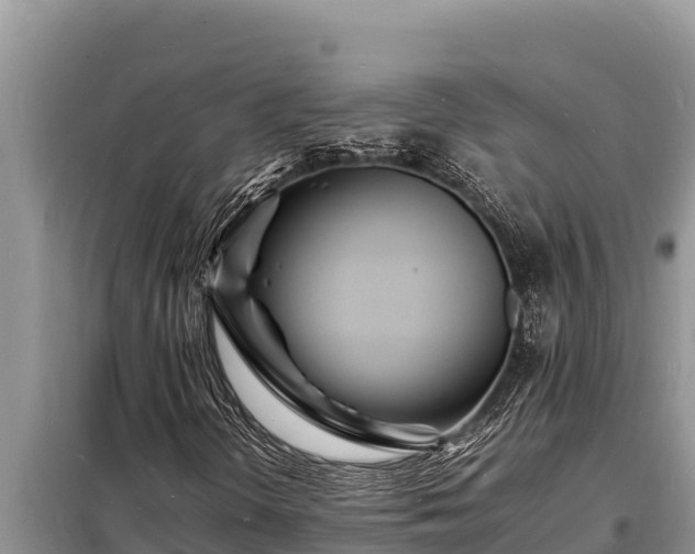 X0000098181298200805011027