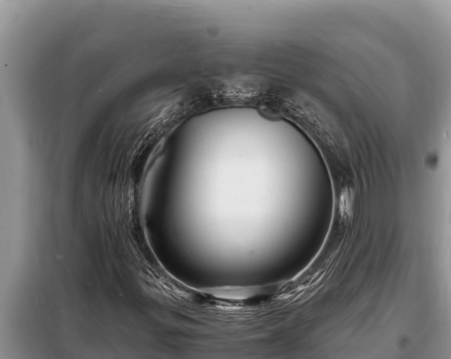 X0000098181299200805011027