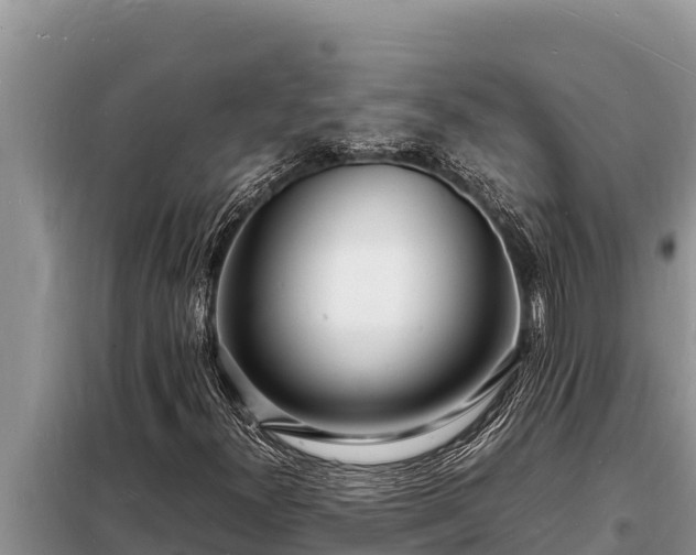 X0000098181300200805011027